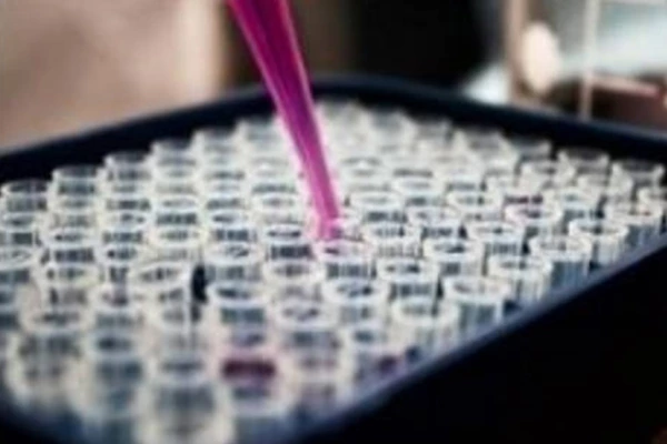 Keratin vs. Amino Acids: What They Actually Do for Hair Feel