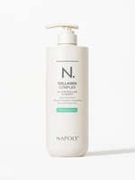 Napoly Oil Controlling Shampoo bottle, front view
