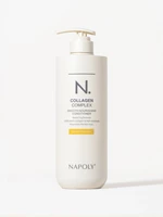 Napoly Repair & Moisture Conditioner bottle, front view